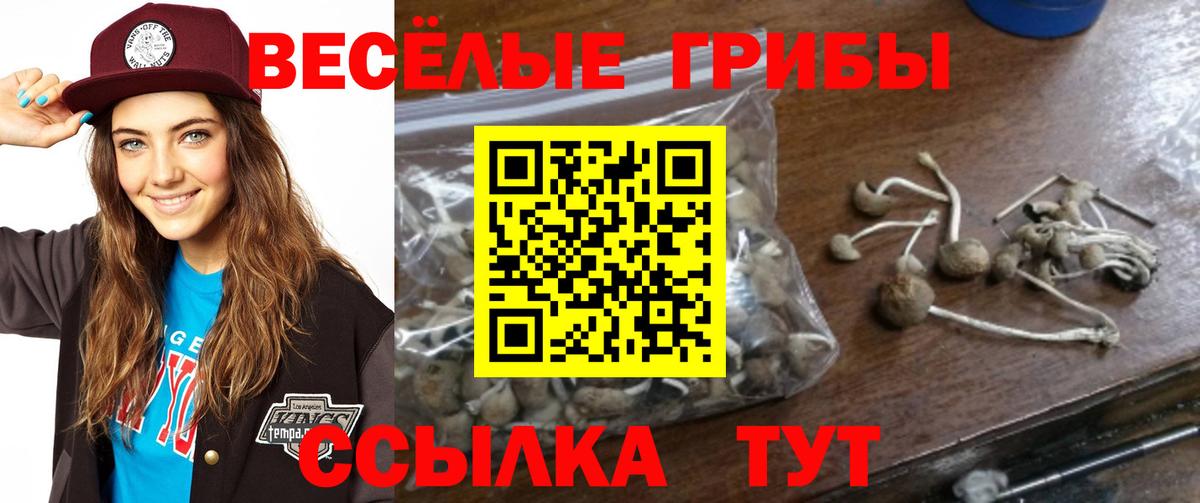 Галлюциногенные грибы GOLDEN TEACHER  Псилоцибиновые грибы GOLDEN TEACHER  Рузаевка  купить наркотик  Вход с VPN 
