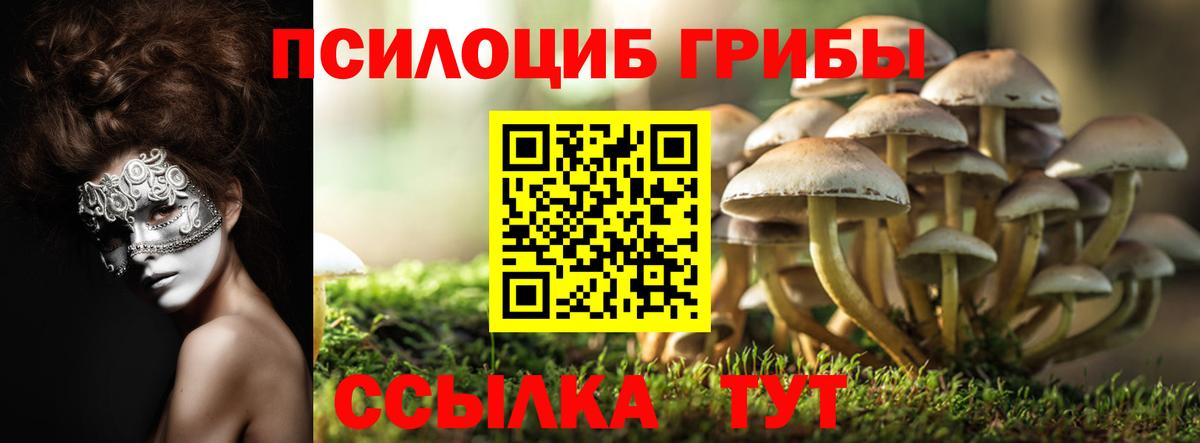 Псилоцибиновые грибы прущие грибы Рузаевка
